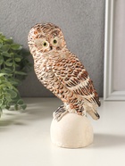 Фигурка гипс «Сова на камне», 18×10 см, мультиколор - фото 65465147