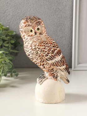 Фигурка гипс «Сова на камне», 18×10 см, мультиколор