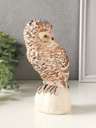Фигурка гипс «Сова на камне», 18×10 см, мультиколор - фото 65465148