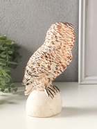 Фигурка гипс «Сова на камне», 18×10 см, мультиколор - фото 65465149