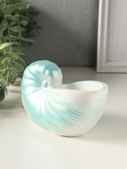 Подставка для мелочей «Ракушка» 8×12×6 см, гипс, голубой перламутр - фото 65465197