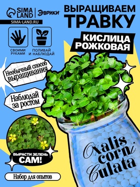 {{photo.Alt || photo.Description || 'УЦЕНКА ЭВРИКИ Набор для опытов «Выращиваем травку», голубой'}}