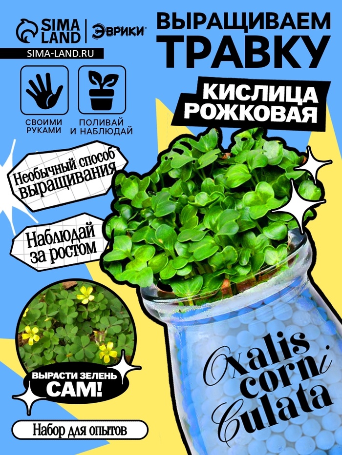 УЦЕНКА ЭВРИКИ Набор для опытов "Выращиваем травку", голубой - Фото 1