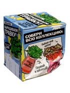УЦЕНКА ЭВРИКИ Набор для опытов "Выращиваем травку", голубой - Фото 2
