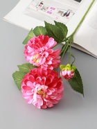 Цветы искусственные «Хризантема Бранхил черри», d=9 см, h=49 см, тёмно-розовые - фото 65465584