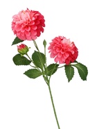 Цветы искусственные «Хризантема Бранхил черри», d=9 см, h=49 см, тёмно-розовые  (артикул 10935331)  большой выбор товаров оптом и в розницу по низким ценам с доставкой