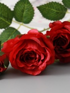 Цветы искусственные «Роза Августина галант», d=6 см, h=55 см, красные 10935333