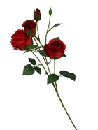 Цветы искусственные «Роза Августина галант», d=6 см, h=55 см, красные  (артикул 10935333)  большой выбор товаров оптом и в розницу по низким ценам с доставкой