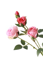 Цветы искусственные «Роза Августина галант», d=6 см, h=55 см, светло-розовые  (артикул 10935334)  большой выбор товаров оптом и в розницу по низким ценам с доставкой