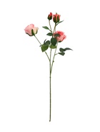 Цветы искусственные «Роза Августина галант», d=6 см, h=55 см, светло-розовые  (артикул 10935334)  большой выбор товаров оптом и в розницу по низким ценам с доставкой