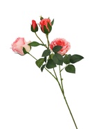 Цветы искусственные «Роза Августина галант», d=6 см, h=55 см, светло-розовые  (артикул 10935334)  большой выбор товаров оптом и в розницу по низким ценам с доставкой
