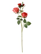 Цветы искусственные «Роза Августина галант», d=6 см, h=55 см, персиковые 10935335