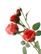 Цветы искусственные «Роза Августина галант», d=6 см, h=55 см, персиковые 10935335