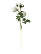 Цветы искусственные «Роза Августина галант», d=6 см, h=55 см, белые - фото 65465606