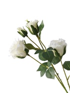 Цветы искусственные «Роза Августина галант», d=6 см, h=55 см, белые - фото 65465607