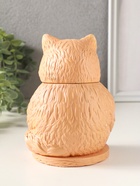 Шкатулка "Кот Теремок" 15х10 см, гипс, рыжий 10970268