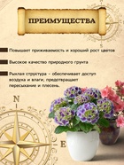 Грунт для Азалий, Рододендронов, Гортензий PETER PEAT, линия «Хобби», 20 л - Фото 2