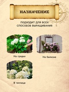 Грунт для Гортензий PETER PEAT, линия «Хобби», 20 л - Фото 3