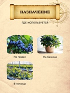 Грунт для Голубики PETER PEAT, линия «Хобби», 20 л - Фото 3