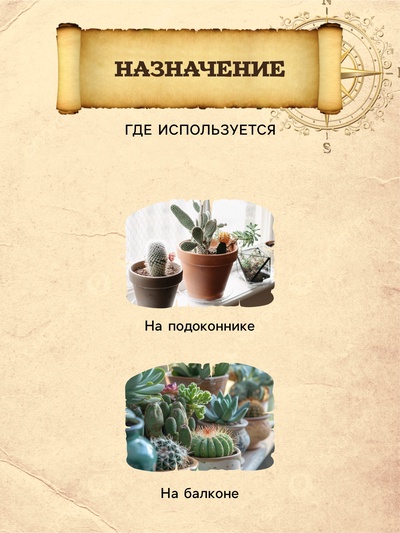Грунт для Кактусов и суккулентов PETER PEAT, линия «Хобби», 2.5 л