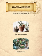 Грунт для Кактусов и суккулентов PETER PEAT, линия «Хобби», 5 л 10975023 - фото 9003750