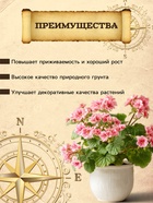 Грунт для Комнатных растений PETER PEAT линия «Хобби», 5 л - Фото 2