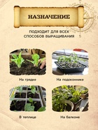 Грунт для Рассады PETER PEAT, линия «Хобби», 10 л - Фото 3