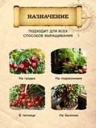 Грунт для Томатов и Перцев PETER PEAT, линия «Хобби», 10 л - Фото 3