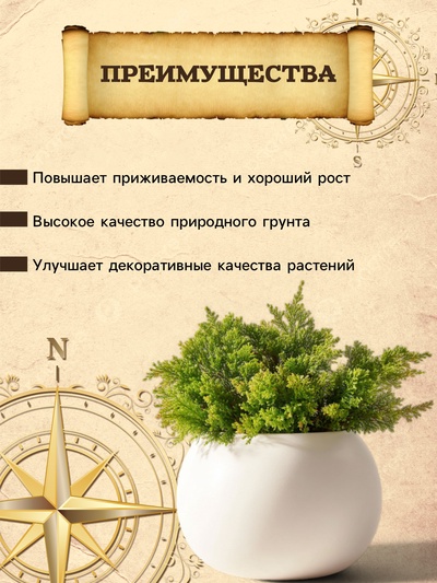 Грунт для Туи и Можжевельника PETER PEAT, линия «Хобби», 20 л