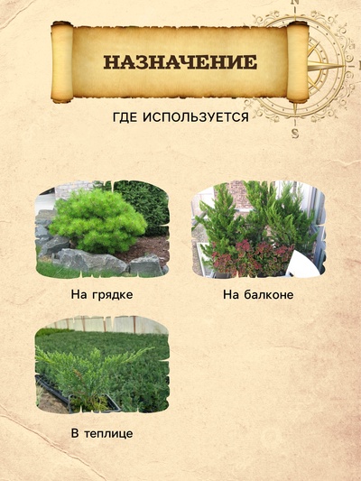 Грунт для Туи и Можжевельника PETER PEAT, линия «Хобби», 20 л