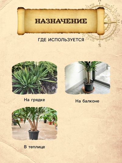 Грунт для Юкки и Драцены PETER PEAT, линия «Хобби», 2.5 л