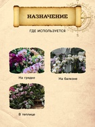 Грунт для Орхидей PETER PEAT, 2.5 л - Фото 3