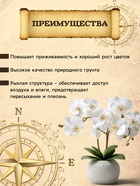 Грунт для Орхидей PETER PEAT, 5 л - Фото 2