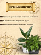Грунт для Пальм и Фикусов PETER PEAT, линия «Хобби», 10 л - Фото 2