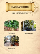 Грунт для Пальм и Фикусов PETER PEAT, линия «Хобби», 10 л 10975048 - фото 9820862