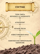 Грунт для Пальм и Фикусов PETER PEAT, линия «Хобби», 10 л 10975048 - фото 9820863