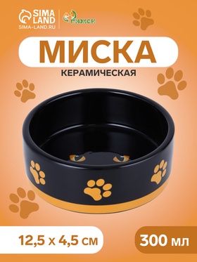 {{photo.Alt || photo.Description || 'УЦЕНКА Миска керамическая «Черный кот» 300 мл - 12.5×12.5×4.5 см, черная/жёлтая'}}