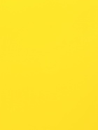 Пленка для цветов, матовая, желтая, 0.57×30 м ±5 %, 65 мкм  (артикул 10915054)  большой выбор товаров оптом и в розницу по низким ценам с доставкой