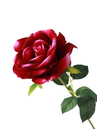 Цветы искусственные «Роза Аманда», бархат, d=11 см, h=58 см, розовые 10935343