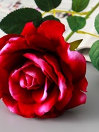 Цветы искусственные «Роза Аманда», бархат, d=11 см, h=58 см, розовые  (артикул 10935343)  большой выбор товаров оптом и в розницу по низким ценам с доставкой