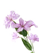 Цветы искусственные «Баухиния пёстрая», d=13 см, h=71 см, сиреневые  (артикул 10935344)  большой выбор товаров оптом и в розницу по низким ценам с доставкой