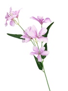 Цветы искусственные «Баухиния пёстрая», d=13 см, h=71 см, сиреневые  (артикул 10935344)  большой выбор товаров оптом и в розницу по низким ценам с доставкой