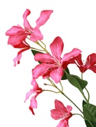 Цветы искусственные «Баухиния пёстрая», d=13 см, h=71 см, малиновые  (артикул 10935345)  большой выбор товаров оптом и в розницу по низким ценам с доставкой