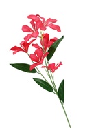 Цветы искусственные «Баухиния пёстрая», d=13 см, h=71 см, малиновые  (артикул 10935345)  большой выбор товаров оптом и в розницу по низким ценам с доставкой