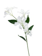 Цветы искусственные «Баухиния пёстрая», d=13 см, h=71 см, белые  (артикул 10935346)  большой выбор товаров оптом и в розницу по низким ценам с доставкой