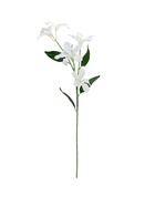 Цветы искусственные «Баухиния пёстрая», d=13 см, h=71 см, белые - фото 809476254