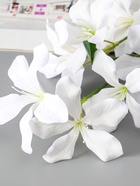 Цветы искусственные «Баухиния пёстрая», d=13 см, h=71 см, белые  (артикул 10935346)  большой выбор товаров оптом и в розницу по низким ценам с доставкой