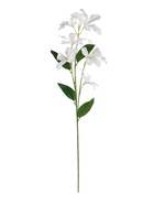 Цветы искусственные «Баухиния пёстрая», d=13 см, h=71 см, белые  (артикул 10935346)  большой выбор товаров оптом и в розницу по низким ценам с доставкой