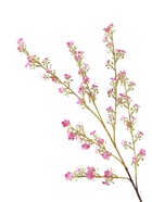 Цветы искусственные «Вероника Георгия», h=92 см, розовые  (артикул 10935348)  большой выбор товаров оптом и в розницу по низким ценам с доставкой