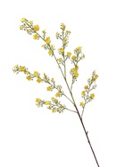 Цветы искусственные «Вероника Георгия», h=92 см, жёлтые  (артикул 10935349)  большой выбор товаров оптом и в розницу по низким ценам с доставкой